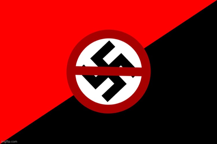 NO NAZIS | image tagged in anti nazi flag | made w/ Imgflip meme maker