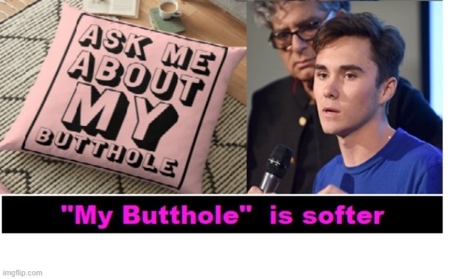 David Hogg's line of "My Butthole" pillows | image tagged in david hogg my butthole pillow | made w/ Imgflip meme maker