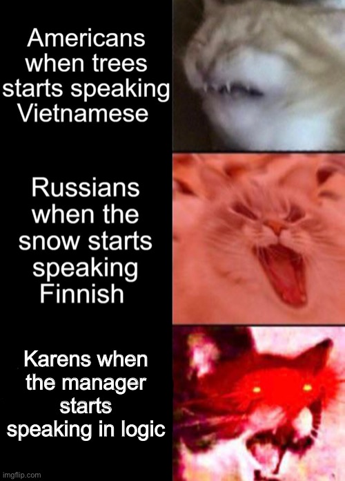 Karens when the manager starts speaking in logic | made w/ Imgflip meme maker