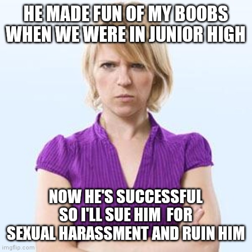 Greedy losers undermine true social progress | HE MADE FUN OF MY BOOBS WHEN WE WERE IN JUNIOR HIGH; NOW HE'S SUCCESSFUL SO I'LL SUE HIM  FOR SEXUAL HARASSMENT AND RUIN HIM | image tagged in angry woman,lawyers | made w/ Imgflip meme maker