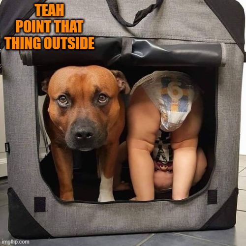 TEAH POINT THAT THING OUTSIDE | image tagged in puppy,baby | made w/ Imgflip meme maker