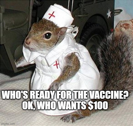 Vaccine | WHO'S READY FOR THE VACCINE?
OK, WHO WANTS $100 | image tagged in covid19,squirrel,vaccine,fun | made w/ Imgflip meme maker