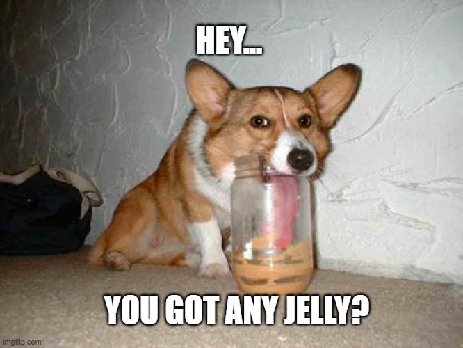 Dog Loves Peanut Butter | HEY... YOU GOT ANY JELLY? | image tagged in dogs,fun,funny food | made w/ Imgflip meme maker