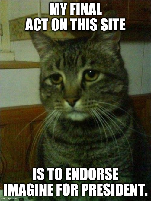 Goodbye, so long, and thank you for the laughs. this is J-Master, signing off. | MY FINAL ACT ON THIS SITE; IS TO ENDORSE IMAGINE FOR PRESIDENT. | image tagged in memes,depressed cat | made w/ Imgflip meme maker