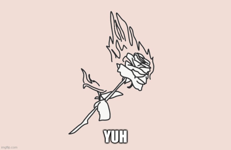 burning rose | YUH | image tagged in burning rose | made w/ Imgflip meme maker