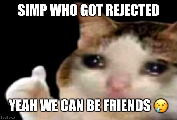 Sad cat thumbs up | SIMP WHO GOT REJECTED; YEAH WE CAN BE FRIENDS 😢 | image tagged in sad cat thumbs up | made w/ Imgflip meme maker