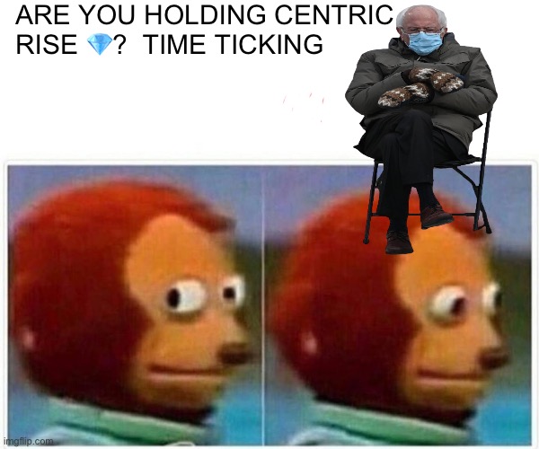 Centric | ARE YOU HOLDING CENTRIC RISE 💎?  TIME TICKING | image tagged in memes,monkey puppet | made w/ Imgflip meme maker