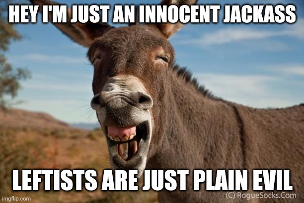 Donkey Jackass Braying | HEY I'M JUST AN INNOCENT JACKASS LEFTISTS ARE JUST PLAIN EVIL | image tagged in donkey jackass braying | made w/ Imgflip meme maker