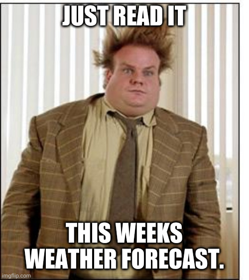Chris Farley Hair | JUST READ IT; THIS WEEKS WEATHER FORECAST. | image tagged in chris farley hair | made w/ Imgflip meme maker