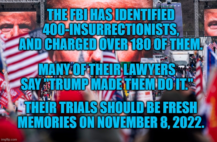 Trump On Trial 180-Plus Times! | THE FBI HAS IDENTIFIED 400-INSURRECTIONISTS, AND CHARGED OVER 180 OF THEM. MANY OF THEIR LAWYERS SAY "TRUMP MADE THEM DO IT."; THEIR TRIALS SHOULD BE FRESH MEMORIES ON NOVEMBER 8, 2022. | image tagged in politics | made w/ Imgflip meme maker