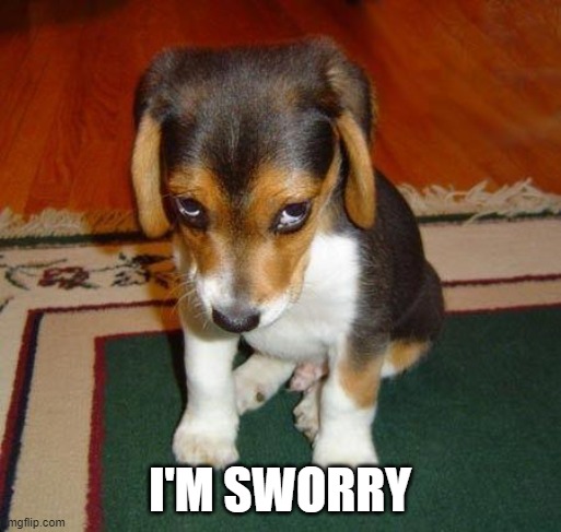 Sad puppy | I'M SWORRY | image tagged in sad puppy | made w/ Imgflip meme maker