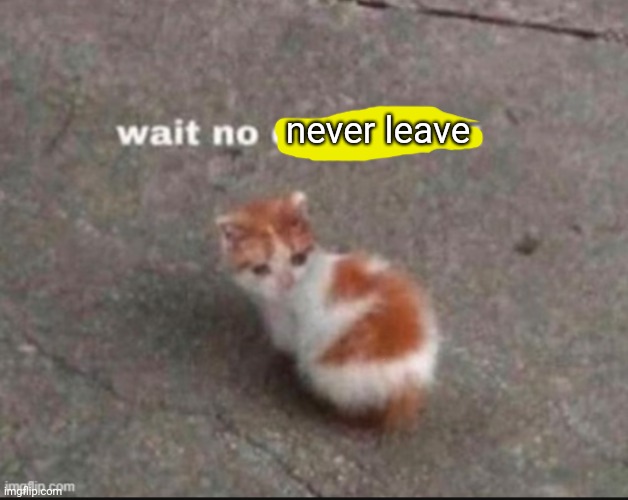 wait no come back | never leave | image tagged in wait no come back | made w/ Imgflip meme maker