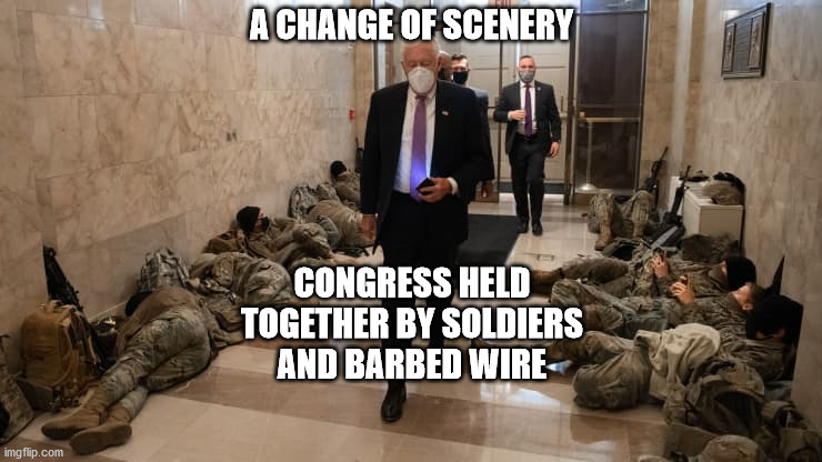 National Guard Protects Congress |  A CHANGE OF SCENERY; CONGRESS HELD TOGETHER BY SOLDIERS AND BARBED WIRE | image tagged in national guard protects congress | made w/ Imgflip meme maker