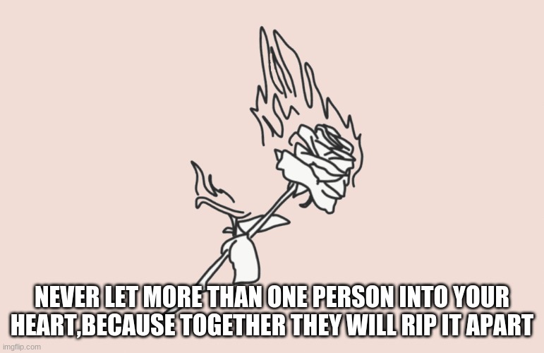 burning rose | NEVER LET MORE THAN ONE PERSON INTO YOUR HEART,BECAUSE TOGETHER THEY WILL RIP IT APART | image tagged in burning rose | made w/ Imgflip meme maker