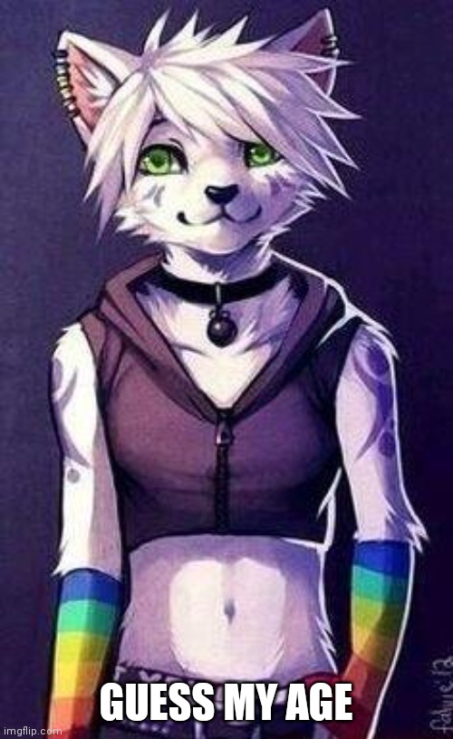 Please guess | GUESS MY AGE | image tagged in the furry who doesn't | made w/ Imgflip meme maker