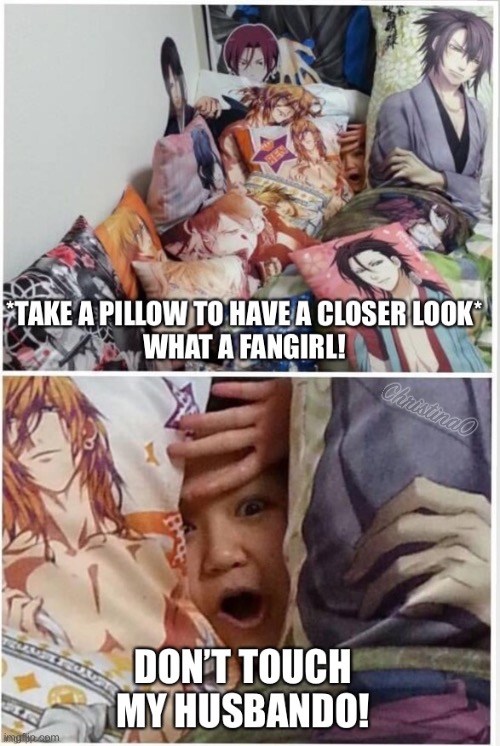 Weeb fangirl Meme | image tagged in fangirls,fangirl,fangirling,female weebs,weebs,fujoshi | made w/ Imgflip meme maker