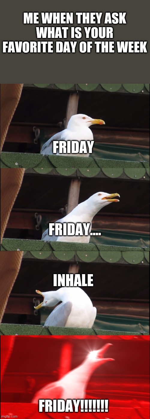 Inhaling Seagull | ME WHEN THEY ASK WHAT IS YOUR FAVORITE DAY OF THE WEEK; FRIDAY; FRIDAY.... INHALE; FRIDAY!!!!!!! | image tagged in memes,inhaling seagull | made w/ Imgflip meme maker
