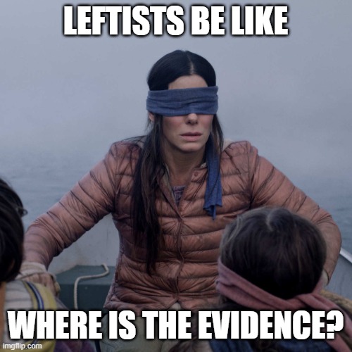 Bird Box Meme | LEFTISTS BE LIKE WHERE IS THE EVIDENCE? | image tagged in memes,bird box | made w/ Imgflip meme maker