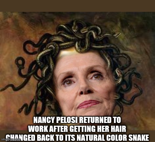 turn u to stone | NANCY PELOSI RETURNED TO WORK AFTER GETTING HER HAIR CHANGED BACK TO ITS NATURAL COLOR SNAKE | image tagged in gifs,funny memes | made w/ Imgflip meme maker