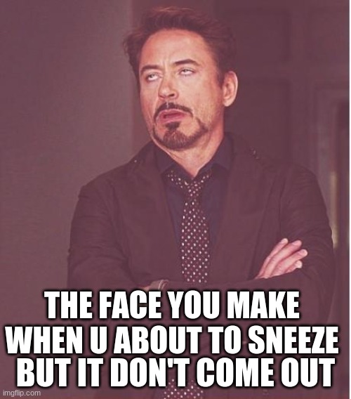 sneeze | THE FACE YOU MAKE WHEN U ABOUT TO SNEEZE; BUT IT DON'T COME OUT | image tagged in memes,face you make robert downey jr | made w/ Imgflip meme maker