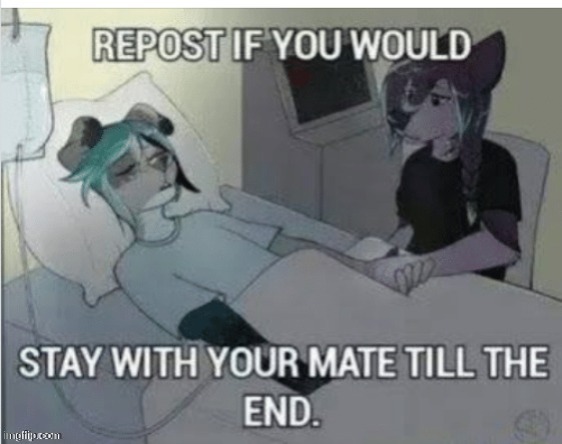 Why wouldn't I, they're all I have... | image tagged in friend | made w/ Imgflip meme maker