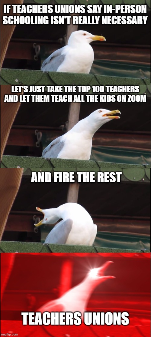 Inhaling Seagull | IF TEACHERS UNIONS SAY IN-PERSON SCHOOLING ISN'T REALLY NECESSARY; LET'S JUST TAKE THE TOP 100 TEACHERS AND LET THEM TEACH ALL THE KIDS ON ZOOM; AND FIRE THE REST; TEACHERS UNIONS | image tagged in memes,inhaling seagull | made w/ Imgflip meme maker