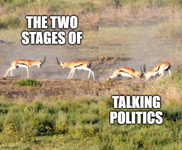 Clashing Opinions | THE TWO STAGES OF; TALKING POLITICS | image tagged in funny,funny animals | made w/ Imgflip meme maker