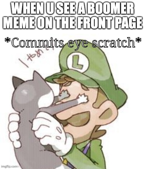 When a boomer meme is on the front page | WHEN U SEE A BOOMER MEME ON THE FRONT PAGE | image tagged in luigi commits eye scratch | made w/ Imgflip meme maker