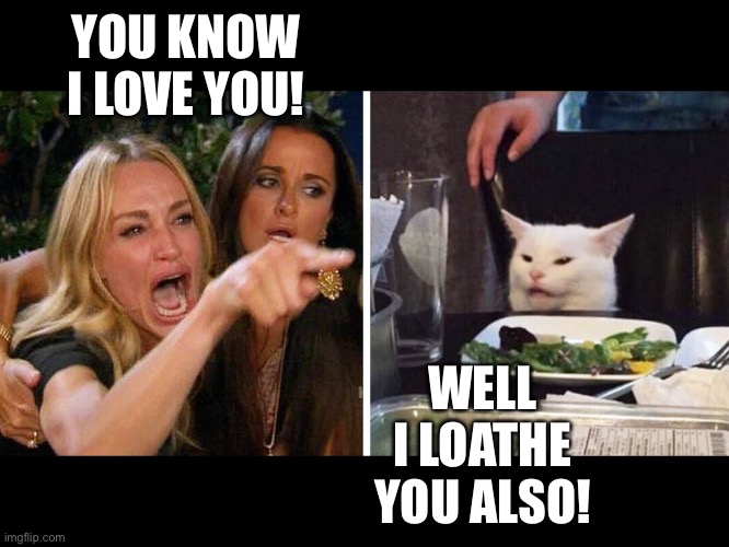 Woman yelling at cat | YOU KNOW I LOVE YOU! WELL I LOATHE YOU ALSO! | image tagged in smudge the cat | made w/ Imgflip meme maker