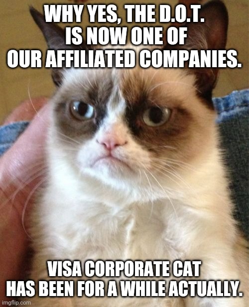 please explain the extent of the security breach | WHY YES, THE D.O.T.  IS NOW ONE OF OUR AFFILIATED COMPANIES. VISA CORPORATE CAT
HAS BEEN FOR A WHILE ACTUALLY. | image tagged in memes,grumpy cat | made w/ Imgflip meme maker