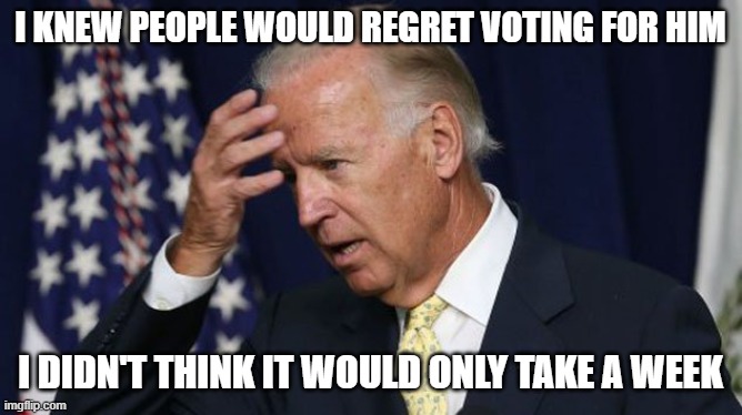 voter's remorse | I KNEW PEOPLE WOULD REGRET VOTING FOR HIM; I DIDN'T THINK IT WOULD ONLY TAKE A WEEK | image tagged in joe biden worries | made w/ Imgflip meme maker