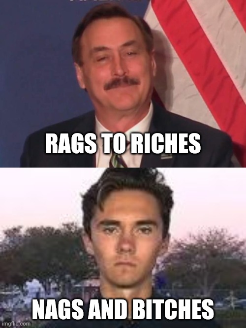 pillow vs biter | RAGS TO RICHES; NAGS AND BITCHES | image tagged in david hogg bitch face | made w/ Imgflip meme maker