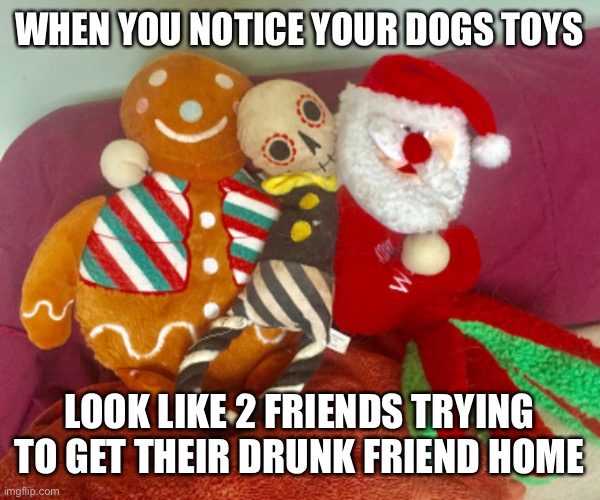 Dog toys | WHEN YOU NOTICE YOUR DOGS TOYS; LOOK LIKE 2 FRIENDS TRYING TO GET THEIR DRUNK FRIEND HOME | image tagged in dog memes | made w/ Imgflip meme maker