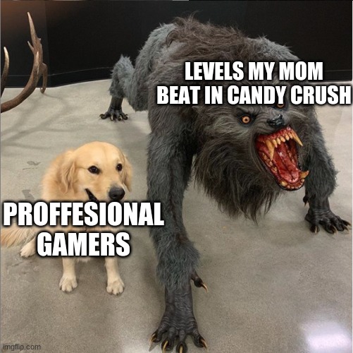 dog vs werewolf | LEVELS MY MOM BEAT IN CANDY CRUSH; PROFFESIONAL GAMERS | image tagged in dog vs werewolf | made w/ Imgflip meme maker