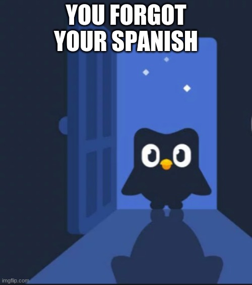 Duolingo bird | YOU FORGOT YOUR SPANISH | image tagged in duolingo bird | made w/ Imgflip meme maker