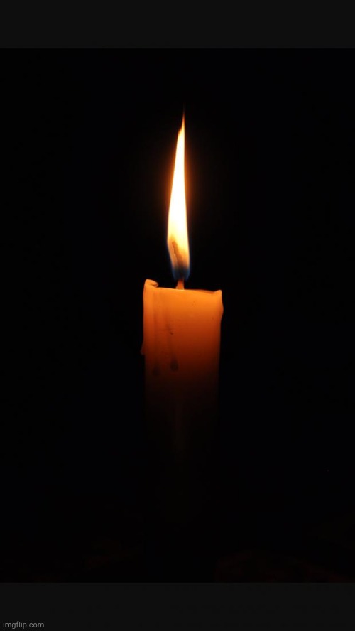 love candle | image tagged in love candle | made w/ Imgflip meme maker