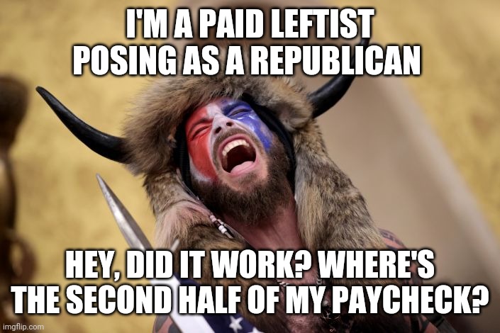capitol viking | I'M A PAID LEFTIST POSING AS A REPUBLICAN HEY, DID IT WORK? WHERE'S THE SECOND HALF OF MY PAYCHECK? | image tagged in capitol viking | made w/ Imgflip meme maker