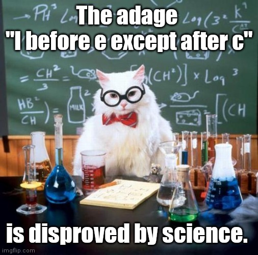 I hear you like word jokes. | The adage 
"I before e except after c"; is disproved by science. | image tagged in memes,chemistry cat,funny | made w/ Imgflip meme maker