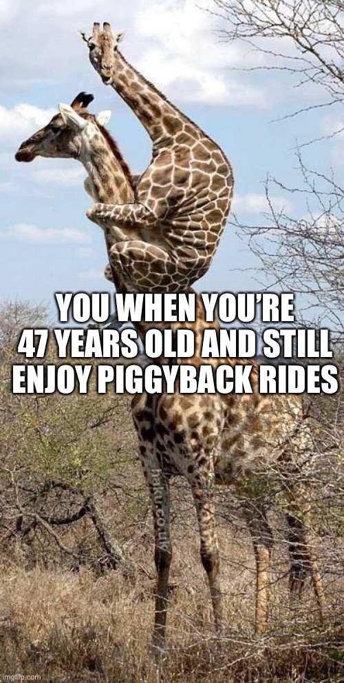 too old for nothing |  YOU WHEN YOU’RE 47 YEARS OLD AND STILL ENJOY PIGGYBACK RIDES | image tagged in funny giraffe | made w/ Imgflip meme maker