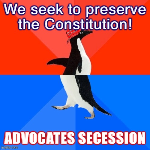 Things that make you go hmmm | We seek to preserve the Constitution! ADVOCATES SECESSION | image tagged in socially awesome awkward penguin maga hat | made w/ Imgflip meme maker