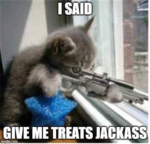 treats | I SAID; GIVE ME TREATS JACKASS | image tagged in hitman lolcat | made w/ Imgflip meme maker