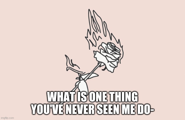 burning rose | WHAT IS ONE THING YOU'VE NEVER SEEN ME DO- | image tagged in burning rose | made w/ Imgflip meme maker