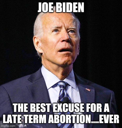 Is it too late? | JOE BIDEN; THE BEST EXCUSE FOR A LATE TERM ABORTION....EVER | image tagged in joe biden | made w/ Imgflip meme maker