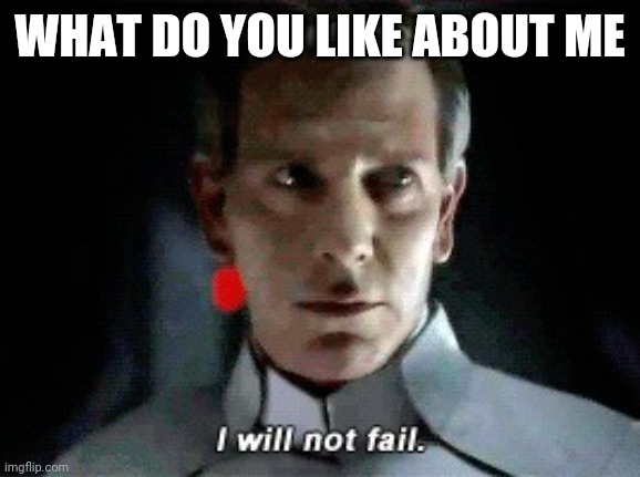 I will not fail | WHAT DO YOU LIKE ABOUT ME | image tagged in i will not fail | made w/ Imgflip meme maker