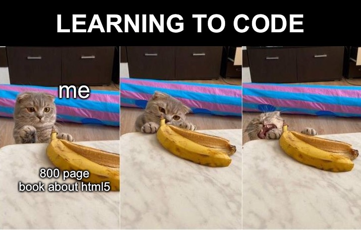 HTML5 | LEARNING TO CODE; me; 800 page book about html5 | image tagged in funny memes,funny cat memes,cats | made w/ Imgflip meme maker