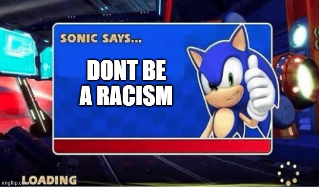 Sonic Says |  DONT BE A RACISM | image tagged in sonic says | made w/ Imgflip meme maker
