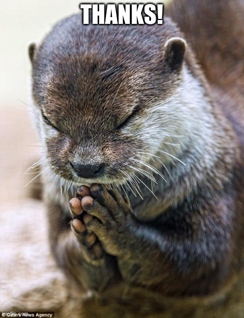 Thank you Lord Otter | THANKS! | image tagged in thank you lord otter | made w/ Imgflip meme maker