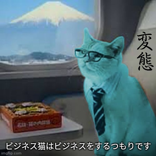 RayCat on Fuji train | ビジネス猫はビジネスをするつもりです | image tagged in raycat on fuji train | made w/ Imgflip meme maker