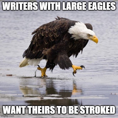 critiques pay heed | WRITERS WITH LARGE EAGLES; WANT THEIRS TO BE STROKED | image tagged in angry eagle,writers | made w/ Imgflip meme maker
