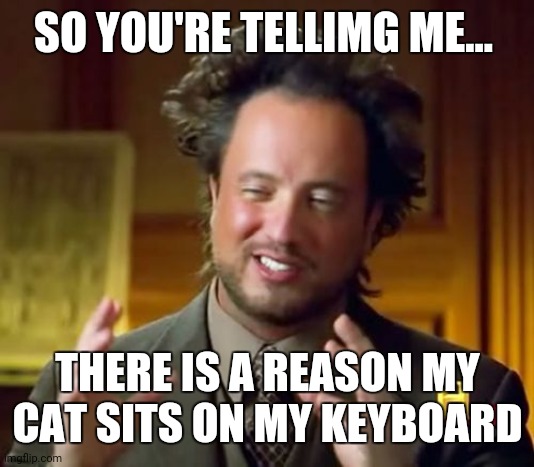 Ancient Aliens | SO YOU'RE TELLIMG ME... THERE IS A REASON MY CAT SITS ON MY KEYBOARD | image tagged in memes,ancient aliens | made w/ Imgflip meme maker